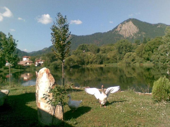 Ribkata Family Hotel Paşmaklı Dış mekan fotoğraf